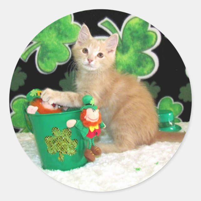 Buffington's St. Patrick's Day Cat / Kitten Classic Round Sticker (Front)