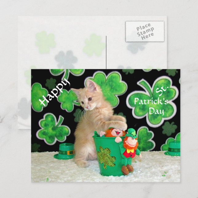 Buffington's St. Patrick's Day Postcard - Cat (Front/Back)