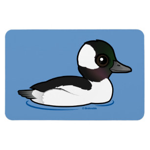 Bufflehead Magnet