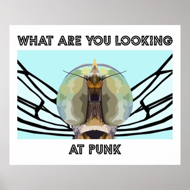 BUG 1 POSTER (Front)