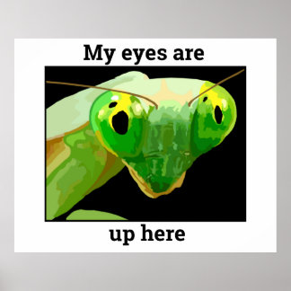 Bug 2 poster