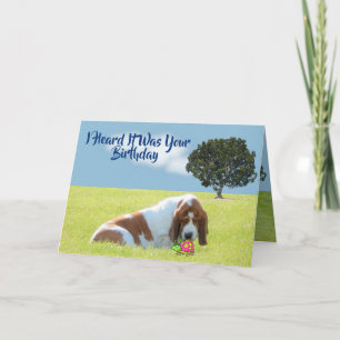 Bug & Basset On Funny & Cute Birthday Card