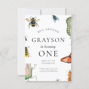 Bug Birthday Invitation For Kids