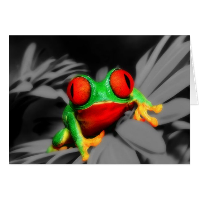 Bug-Eyed Frog (Front Horizontal)