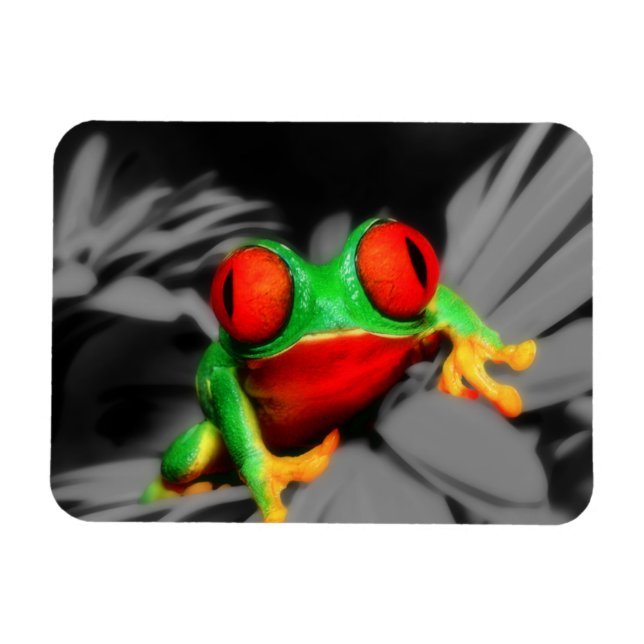 Bug-Eyed Frog Magnet (Horizontal)