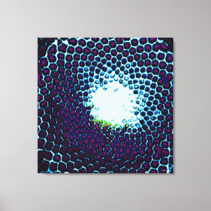 Bug Eyed Honeycomb blue purple Canvas Print