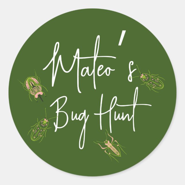 Bug Hunt Insect Birthday Hand Drawn Design  Classic Round Sticker (Front)