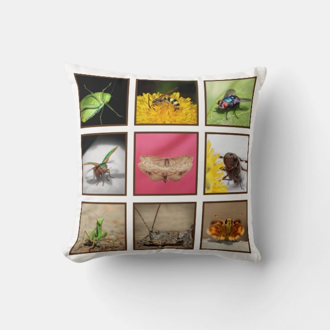 Bug Lovers Delight Insect Photography Throw Pillow (Front)