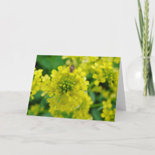 Bug on Flower Card