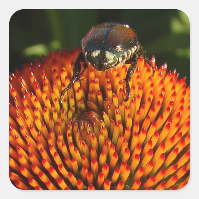 Bug on Flower Square Sticker (Front)