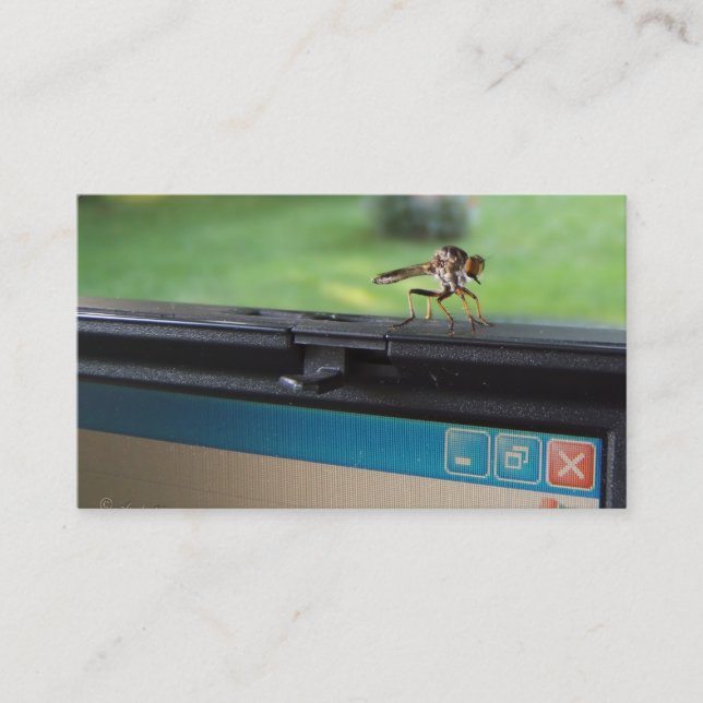 Bug on System ~ biz card (Front)