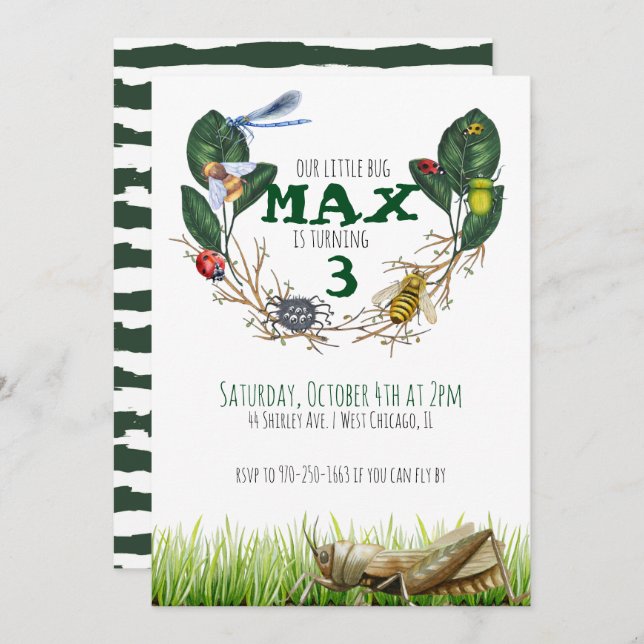 Bug Themed Birthday Party Invitation (Front/Back)