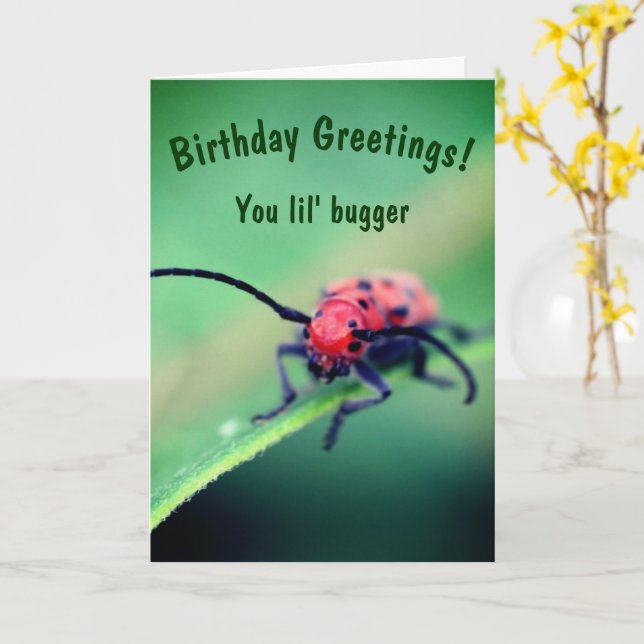 Bug With Attitude Cute Birthday  Card (Yellow Flower)