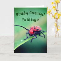 Bug With Attitude Cute Birthday