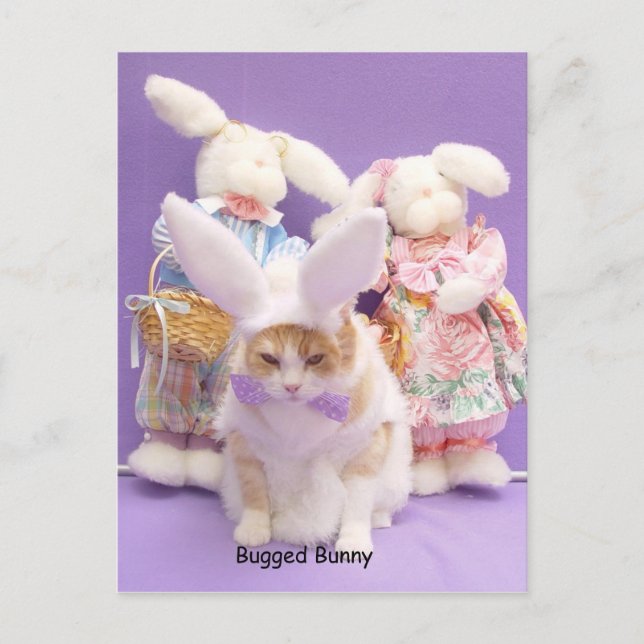 Bugged Bunny Postcard (Front)