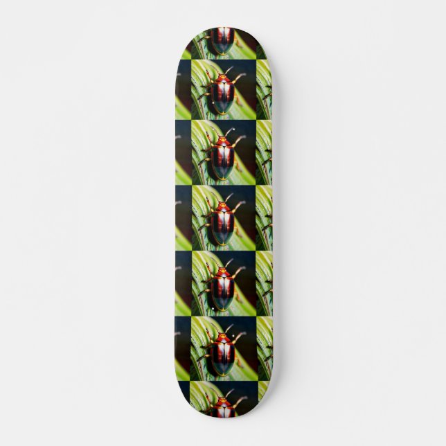 Bugged Out Skateboard (Front)