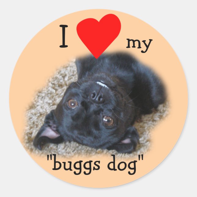 Buggs Dog Stickers-your picture or mine Classic Round Sticker (Front)