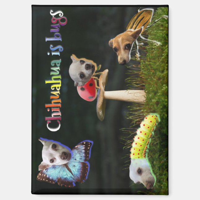 Buggs Magnet (Front)