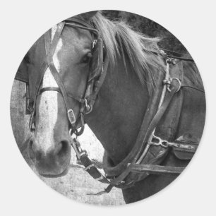 Buggy Horse at the Hitching Post Classic Round Sticker