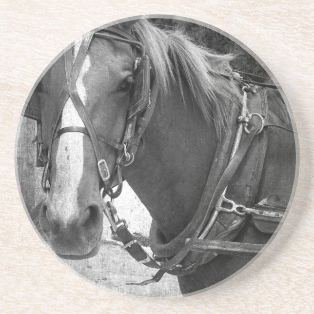 Buggy Horse at the Hitching Post Coaster (Front)
