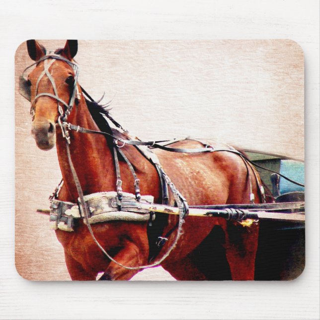 Buggy Horse Mouse Pad (Front)