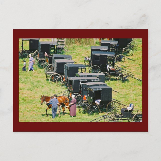 Buggy Parking Lot Postcard (Front)