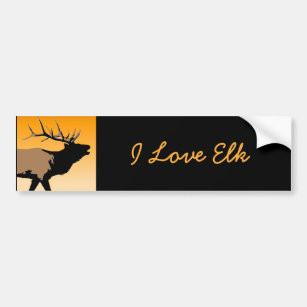 Bugling Bull Elk at Sunset Original Wildlife Art Bumper Sticker