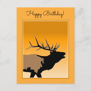 Bugling Bull Elk at Sunset Original Wildlife Art Postcard