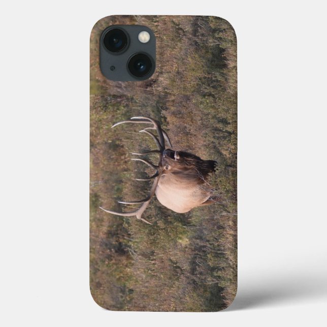 Bugling Elk Case-Mate iPhone Case (Back)