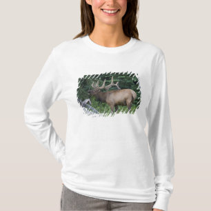 Bugling elk in Banff National Park, Canada. T-Shirt
