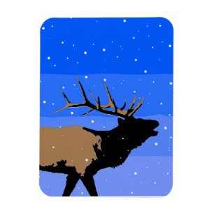 Bugling Elk in Winter - Original Wildlife Art Magnet
