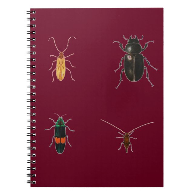 Bugs 2011 spiral notebook (Front)
