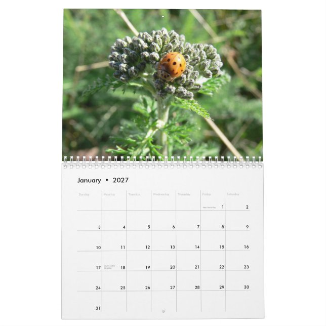 Bugs and Blossoms 2011 Calendar (Jan 2027)