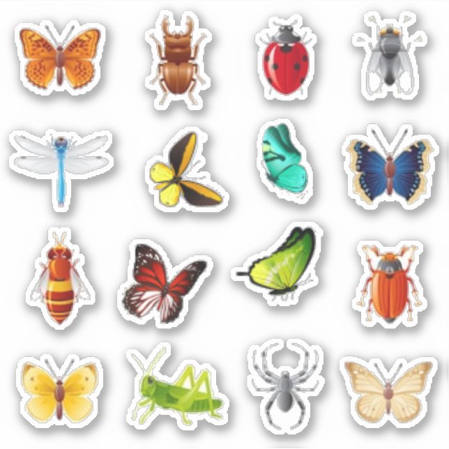 Bugs and butterfly scrapbook (Front)