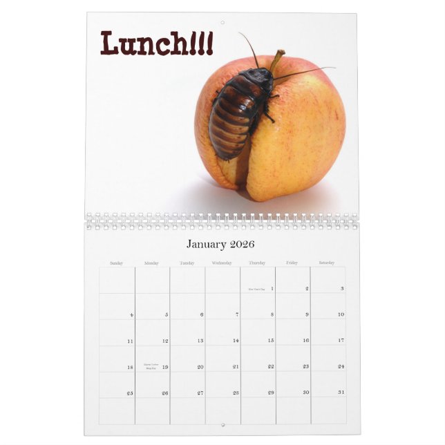 Bugs And Other Wierdness 2013 Calendar (Jan 2026)