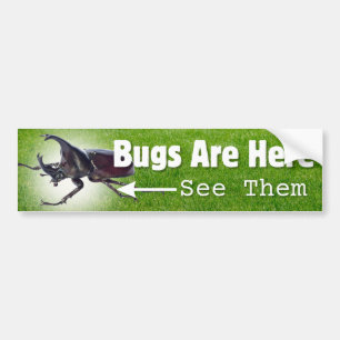 Bugs Are Here... Rhino Beetle Bumper Sticker