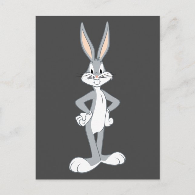 BUGS BUNNY™ | Bunny Stare Postcard (Front)