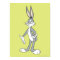 BUGS BUNNY™ Standing