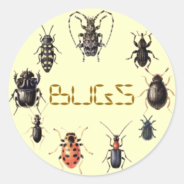 BUGS CLASSIC ROUND STICKER (Front)