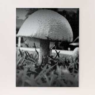 Bug's Eye View Jigsaw Puzzle