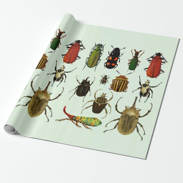 Bugs Insects Beetles Entomology wildlife Art Wrapping Paper (Unrolled)