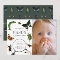 Bugs & Insects Vintage Boy Photo 1st Birthday