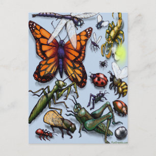 Bugs Postcard