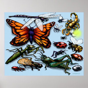 Bugs Poster