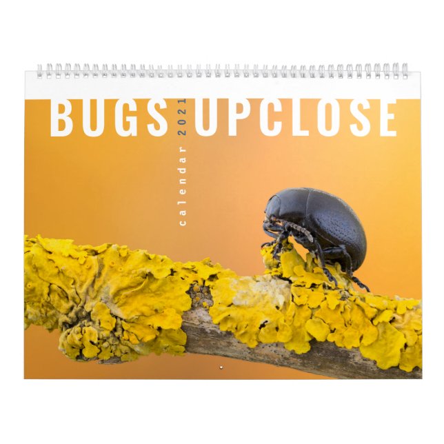 BUGS UPCLOSE 2021 CALENDAR (Cover)