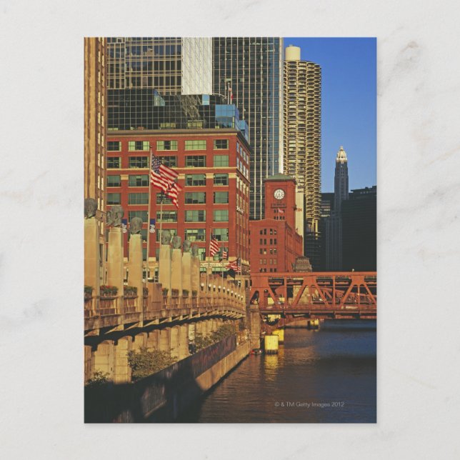 Buildings along the river in downtown Chicago, Postcard (Front)