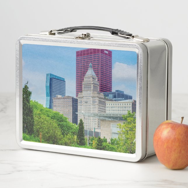 Buildings In Chicago Metal Lunch Box (In Situ)