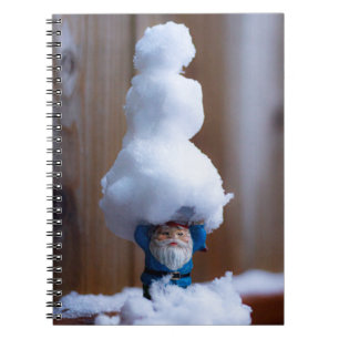 Built a Snowman V Notebook