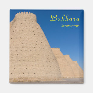 Bukhara, Uzbekistan - Wall of the Ark fortress Magnet