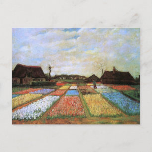 Bulb Fields Holland (F186) Van Gogh Fine Art Postcard